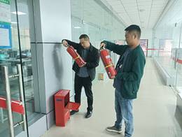 IMG20241031152444